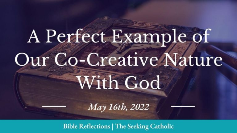 A perfect example of our co-creative nature with God