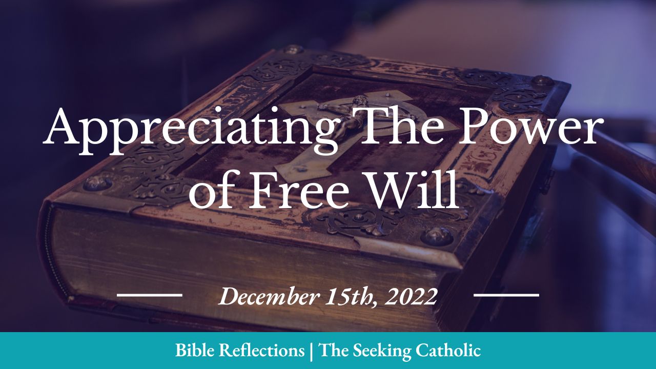 The Seeking Catholic Bible Reflection - appreciating the power of free will